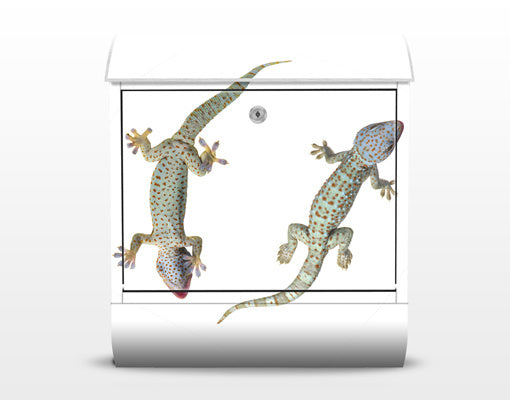 Brievenbus Gekko's