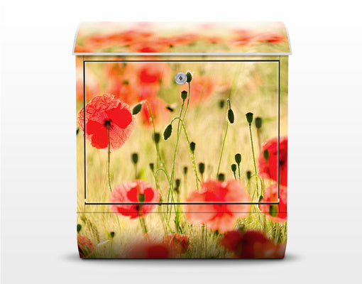 Brievenbus Summer Poppies